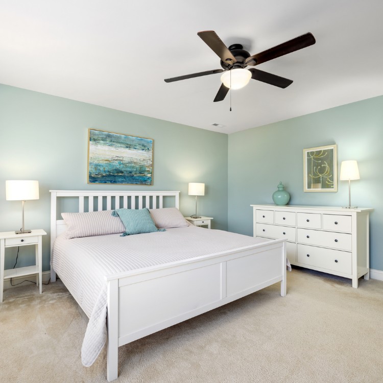 Painting services in Longmont, CO