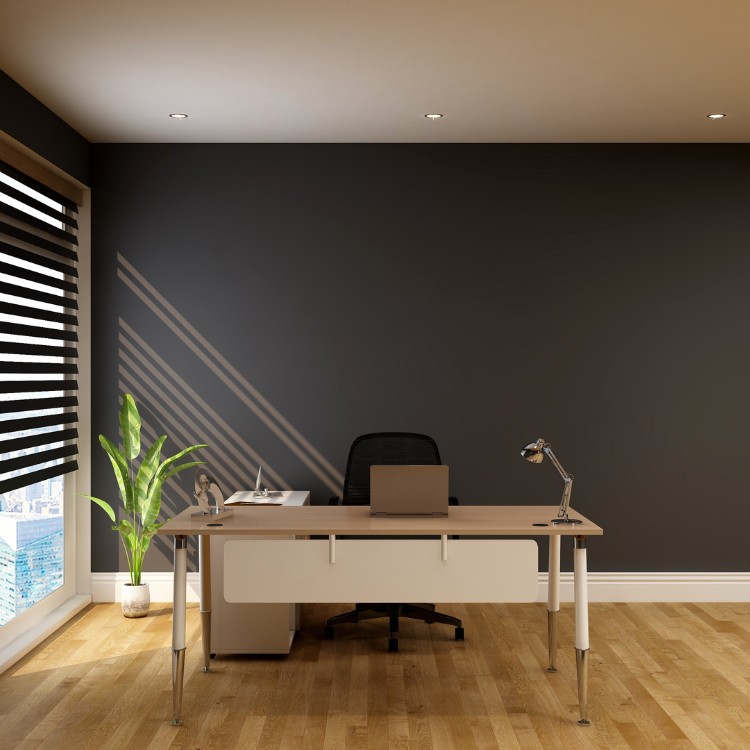 Painting services in Longmont, CO