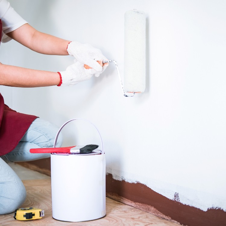 Painting services in Longmont, CO