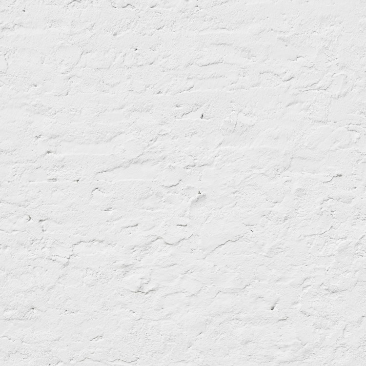 Painting services in Longmont, CO